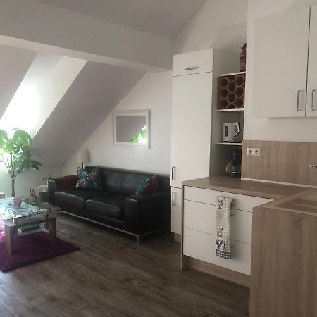 Old Bridge View Apartment 하이델베르크 외부 사진