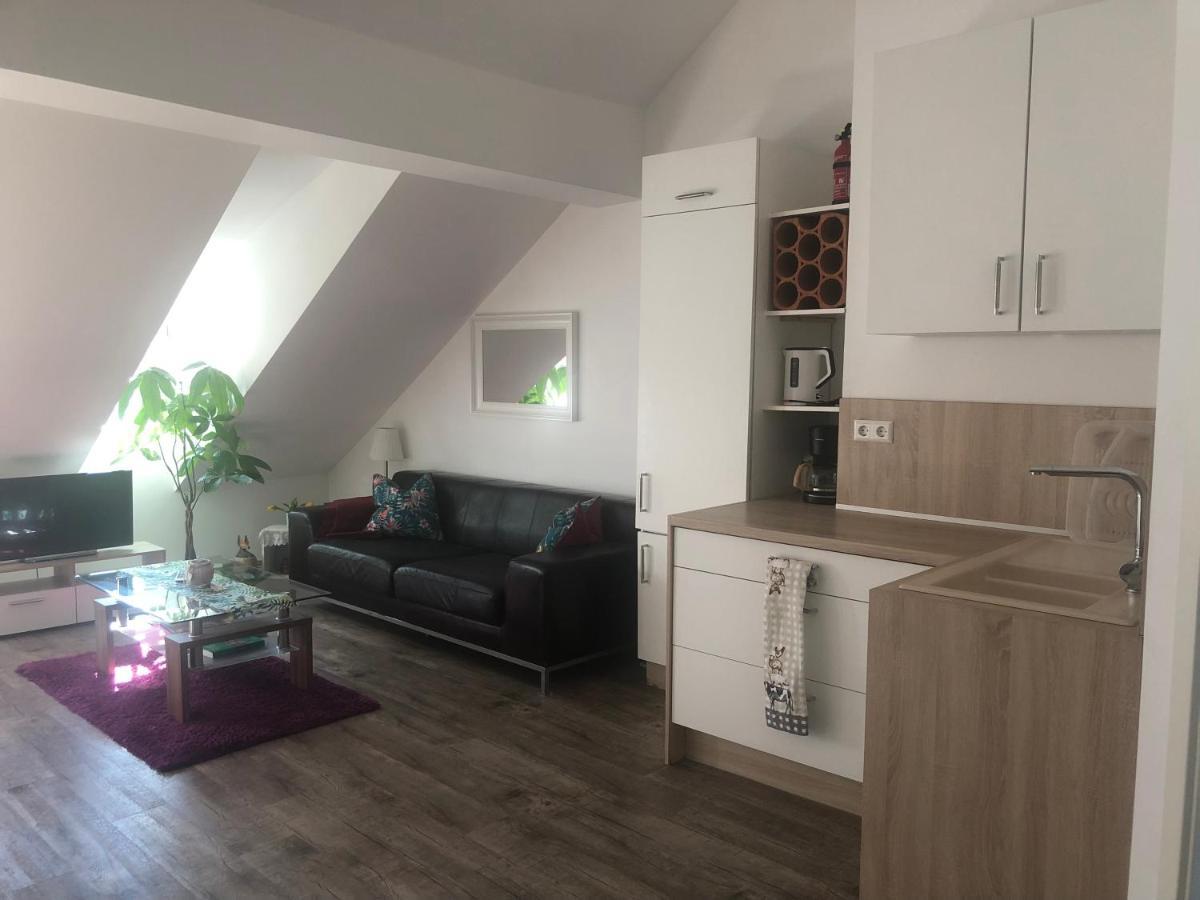 Old Bridge View Apartment 하이델베르크 외부 사진