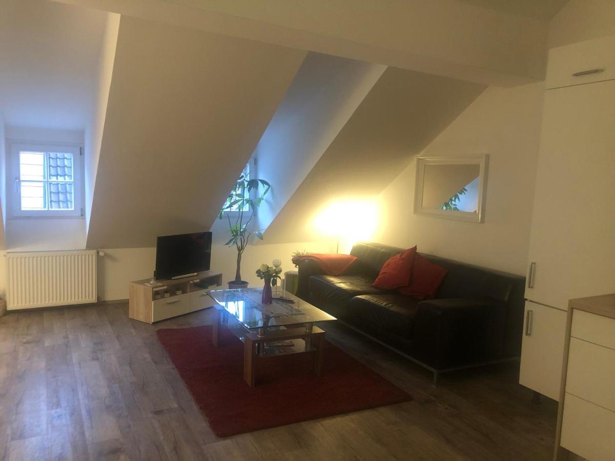 Old Bridge View Apartment 하이델베르크 외부 사진