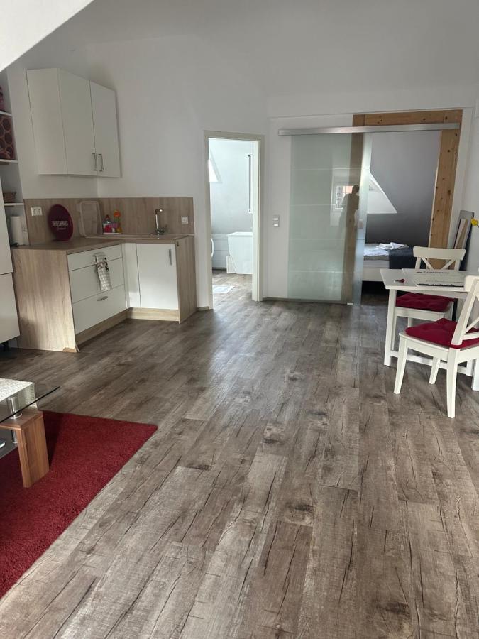 Old Bridge View Apartment 하이델베르크 외부 사진